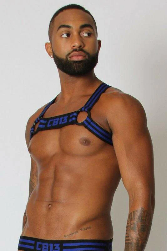 CellBlock 13 Torque Elastic Harness