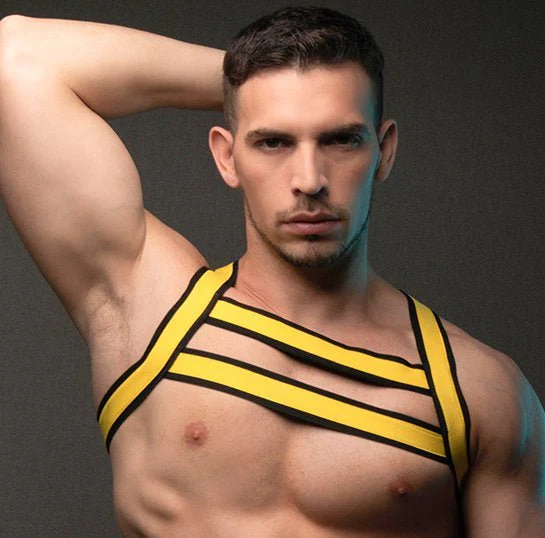 Dale Mas Urban X-Men Harness - Image 15
